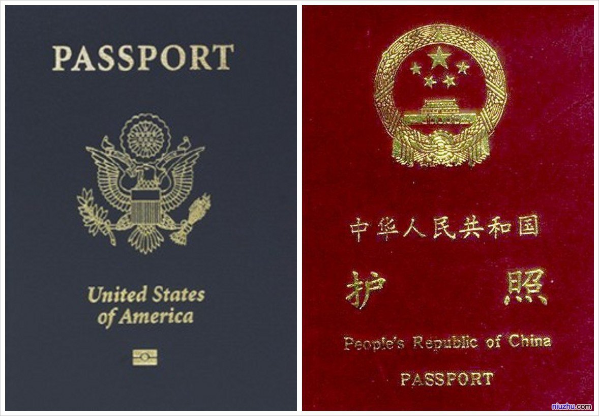 鱼先森美国攻略