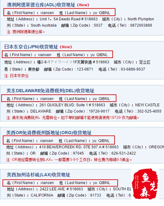 鱼先森美国攻略