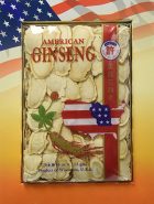 鱼先森美国攻略