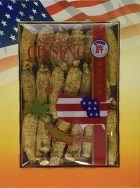鱼先森美国攻略