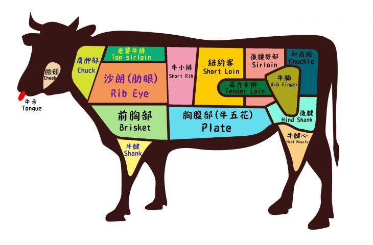 鱼先森美国攻略