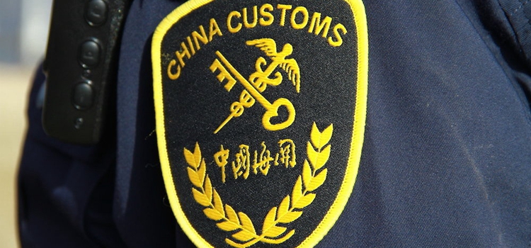 鱼先森美国攻略
