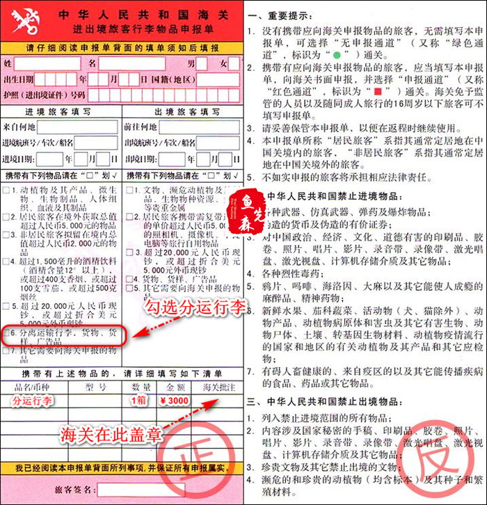 鱼先森美国攻略