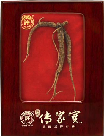 鱼先森美国攻略