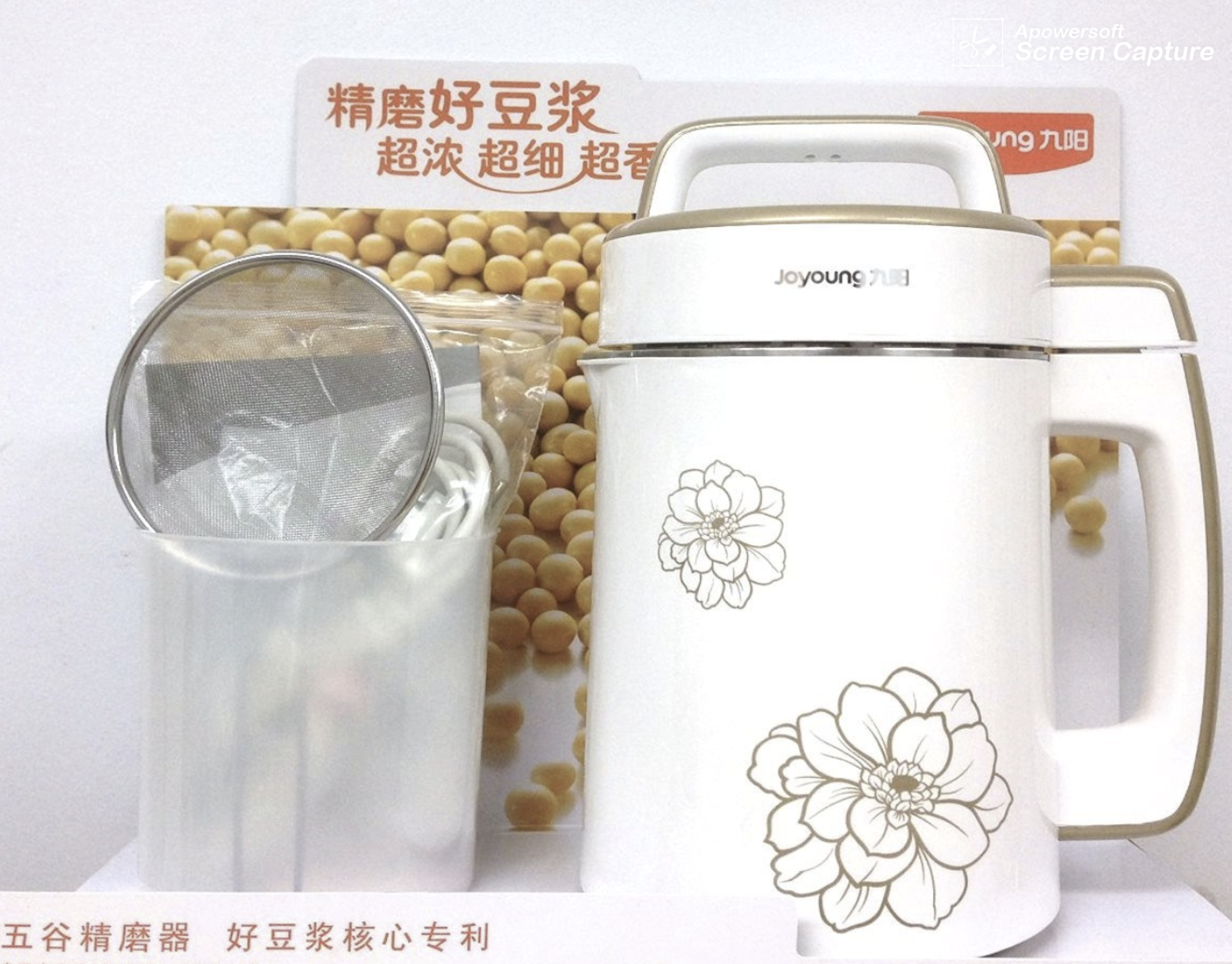 鱼先森美国攻略